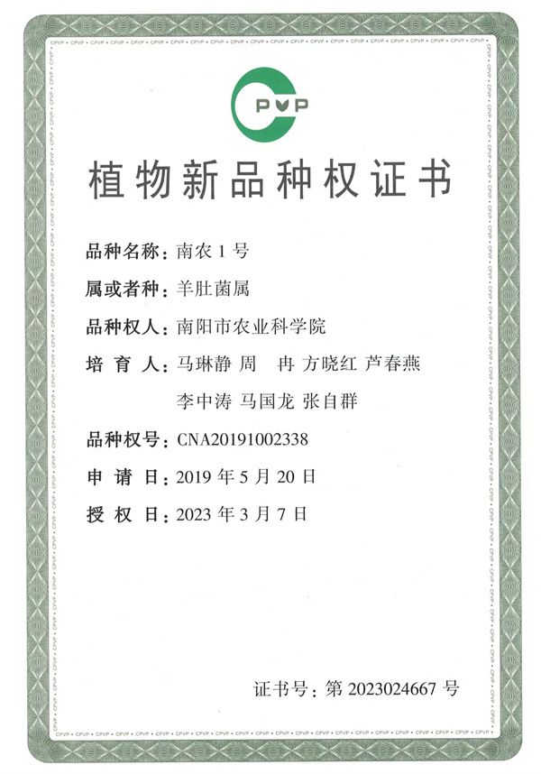 4fad5821-34f2-46f0-8cdd-70a43f71fdfa.jpg