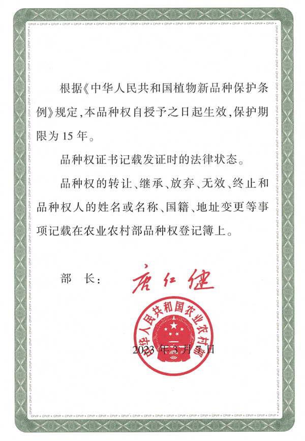 86315f5e-a214-4476-898d-b53613d27aed.jpg